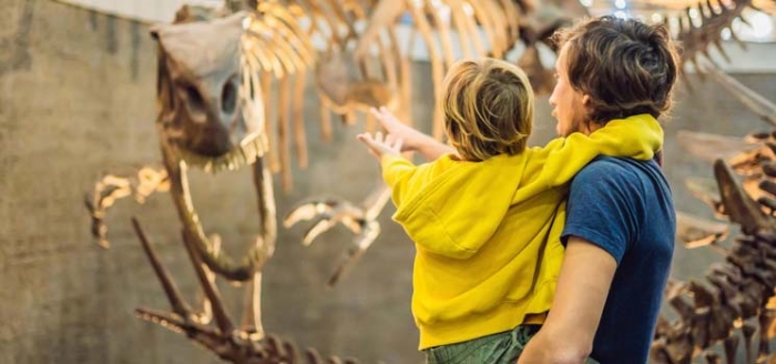 Vater mit Kind im Museum vor Saurierskelett Vater mit Kind im Museum vor Saurierskelett