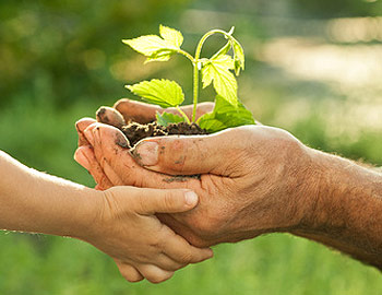 Das Rentensystem benachteiligt Familien