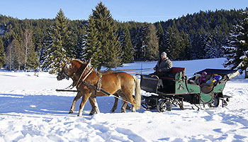 Wintercamping mit Kindern