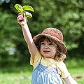 Vtersache - Mit Kindern ein Beet anlegen