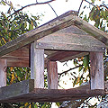 Vogelhaus fr den Winter selber bauen